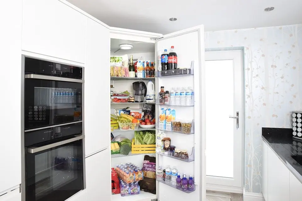 Refrigerator-Repair--Refrigerator-Repair-1335946-image