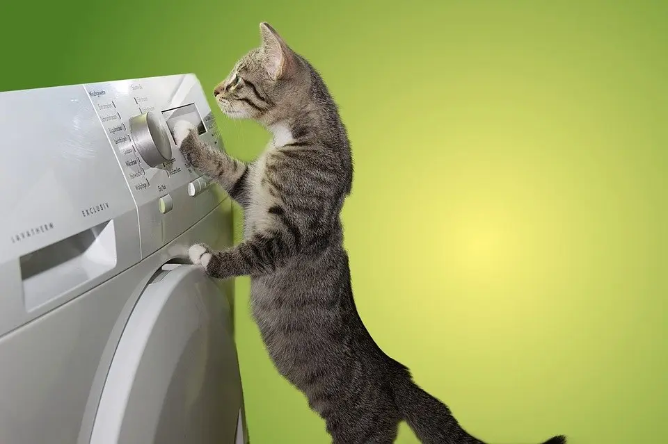 Dryer-Repair--in-Newark-New-Jersey-dryer-repair-newark-new-jersey.jpg-image